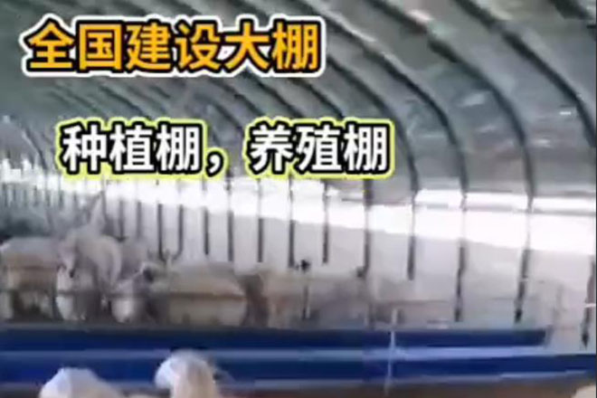 全國建設大棚（種植棚（péng），養殖棚）